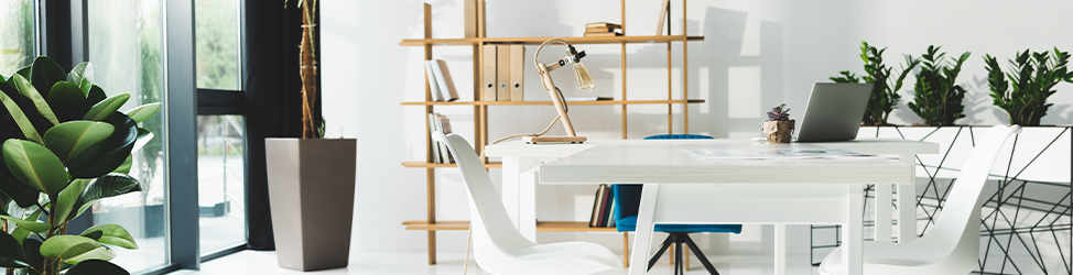 A clean and minimalist office space featuring a desk, a chair, and a potted plant for decor.