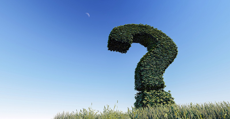 Capstone considerations: Changing Your CFE Role A photo of a shrub shaped like a question mark.
