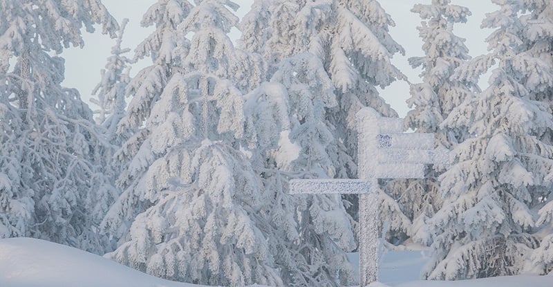 CPA PEP Update for the 2021/22 Academic Year A photo of a street sign covered in snow, surrounded by snow-covered pine trees and a snowy ground.
