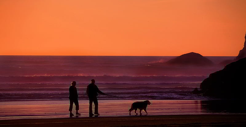 A Message for the September 2021 CFE writers A photo of two people walking a dog on the beach during sunset. The photo contains shades of black and orange.