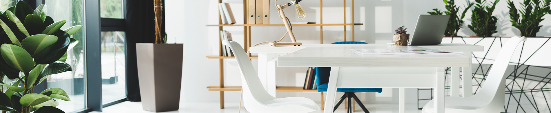 Banner A clean and minimalist office space featuring a desk, a chair, and a potted plant for decor.