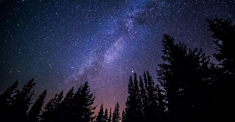 A photo captured from a low angle, showcasing a night sky sparkling with countless stars, framed by the silhouettes of towering pine trees at the base.