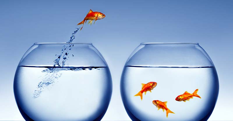 A photo of two fish bowls, one with three fish and the other with one fish. The fish in the second bowl is jumping to the first bowl.