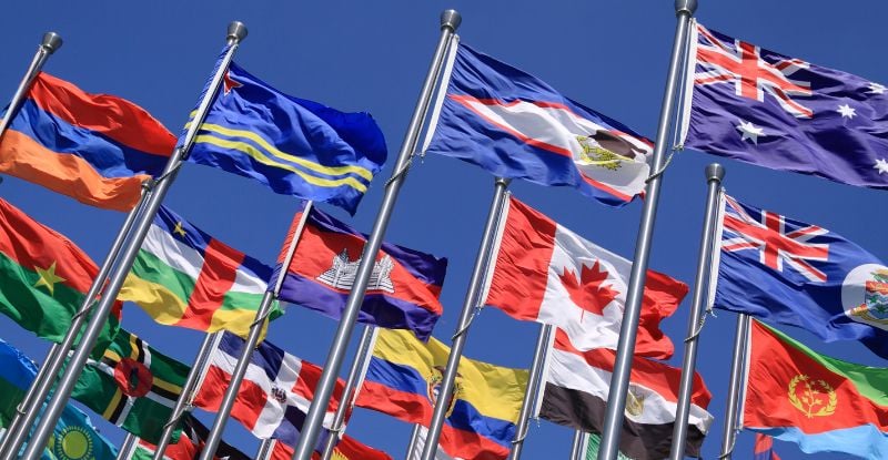International Assessment for International Designates A photo of multiple country flags against a backdrop of clear blue skies.